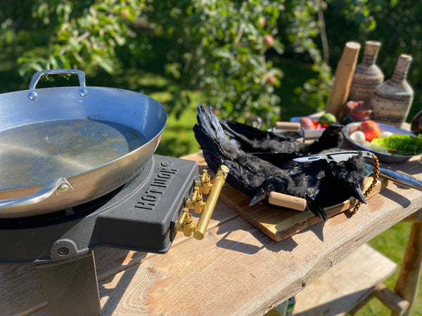 What can you cook with birds like rooks?